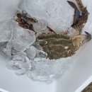 비인시장 | [서천 당일치기 여행] 비인해변에서 새우 구이 및 야광충 도전 후기! - 불 피우기 꿀팁, 새우구이 꿀팁...