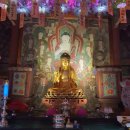 1761 | 경상북도 유형문화유산 제 573호 구미 대둔사 아미타불회도