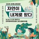 자연이묻다
