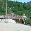 수정-123 이미지