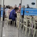 언약체육관 | 6월 셋째 주일예배, 에베소서 2장 11절~19절,어르신 무지개 예배, 가음정교회 옆 500살 푸조나무...