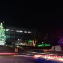 횡성군청사 이미지