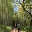 담양금성산성 오토캠핑장 이미지