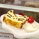 💜 연남동 신상카페 | 귀여움 가득했던 연남동 디저트카페 연베이크샵 후기🐰🐈🧸💛