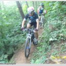 거북이 주유소 이미지