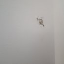 예스조명 이미지