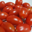 이건농장 이미지