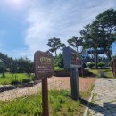 호수공원9 나들숲 | 💖세종호수공원, 여기가 바로 힐링 천국! 반 바퀴만 돌아도 시간 순삭!