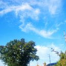 봉현1리(향촌) 이미지