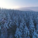 사천민박 이미지