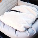 태민동물병원 이미지