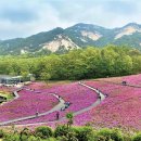 하천 산책로·철도공원·철쭉동산… 집 앞이 ‘힐링타운’ 이미지