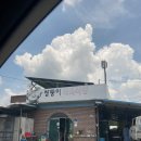 쌍둥이식육식당