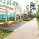 포항상생숲길 이미지