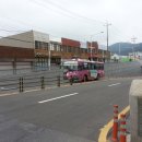 크로커다일레이디순천