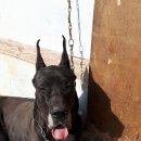 맥스농장 이미지