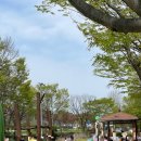 사선대화장실 이미지