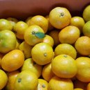 총각농장 이미지