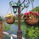 숲속의호수 이미지