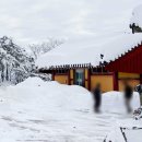 신선대 입구 임도 | 겨울 ☃강원도 고성 여행 울산바위 뷰 금강산 신선대 성인대 코스 ❄ 화암사 등산 코스 통제 정보