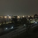 싱싱참치 이미지