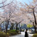 범계역 6번출구(희망공원) 이미지