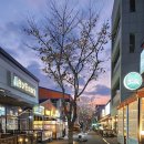 용이동이야기 이미지