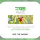 약초건강식품 이미지