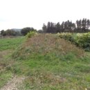 성읍2리마을회관 이미지