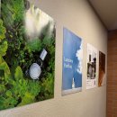 스튜디오 뤼미에르 | 수원)행궁동 데이트 스팟 뤼미에르향수공방 수원점/ 향수공방 체험후기! /수원 이색데이트,조향사체험기!