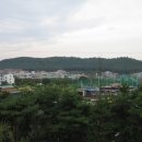 정정옹주묘 이미지