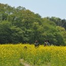 신라고등학교 이미지