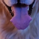 신남케어 이미지