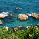 해물,그리고 이미지