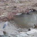 새백양세탁소 이미지