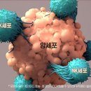 광주고려요양병원 이미지