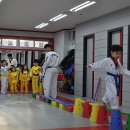 경성태권도 이미지