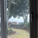 안월선 민박 코리아, 제주 이미지