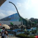 엑스포펜션민박 이미지