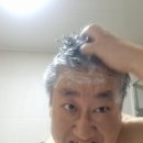 묵은 머리 각질 이제 그만! 더마프 샴푸로 두피 고민 날려버린 후기