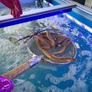 중정로62번길 이미지