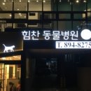 힘찬동물병원 네이버블로그