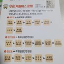 개랑 나들이 | 가을 나주 영산강 축제 후기 | 핑크뮬리와 함께한 나주 나들이