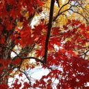 광적면사무소 이미지