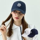 페르시안 캣 이미지