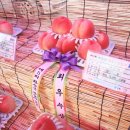 화순읍사무소 이미지