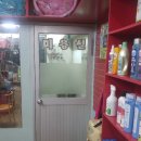 이향애견살롱 이미지