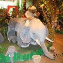 테지움사파리 이미지