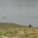 감골공원 이미지