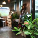 데이지플라워샵 이미지